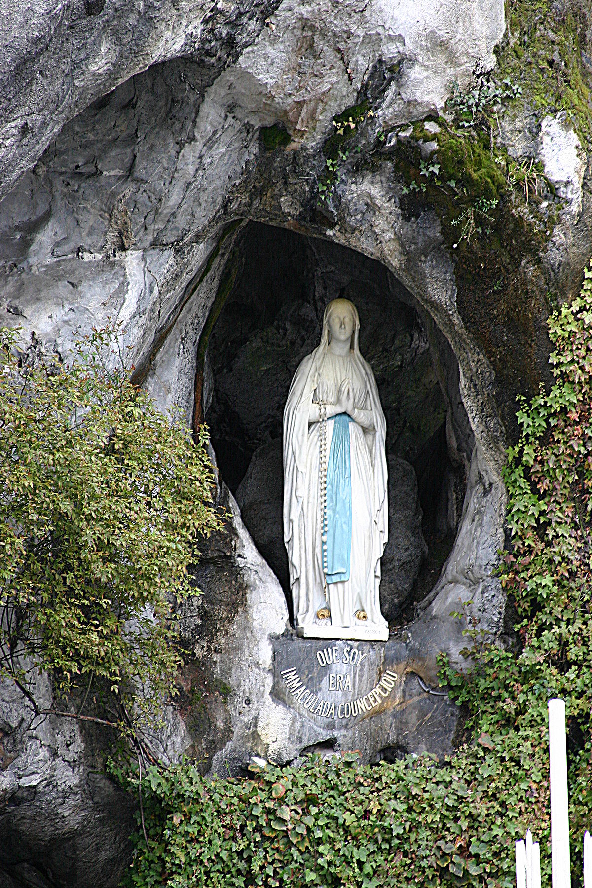Diocesan Pilgrimage to Lourdes – St Thomas the Apostle